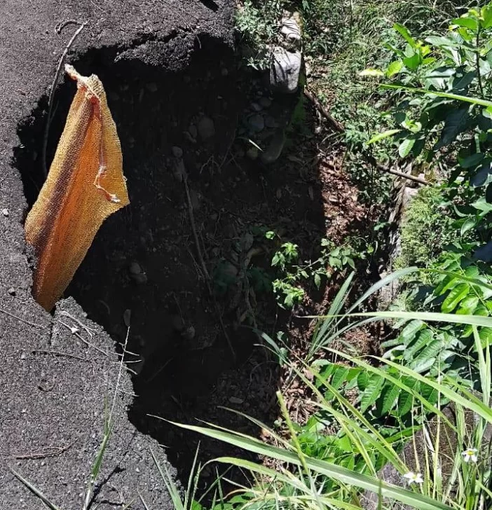 Residentes en Rincón de Yuboa piden reparación de su carretera