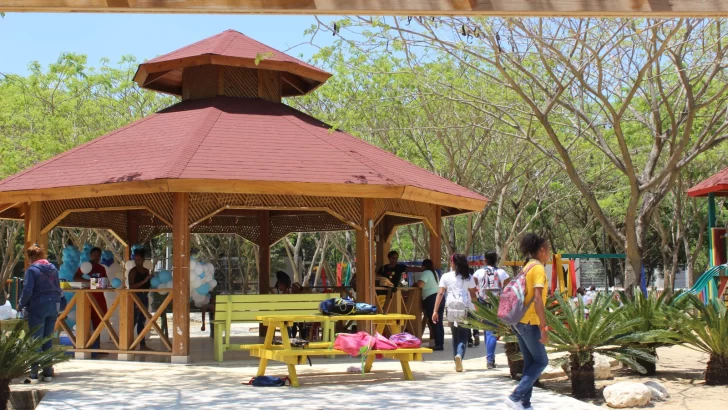 Proyecto helipuerto en Parque Central de Santiago genera debate