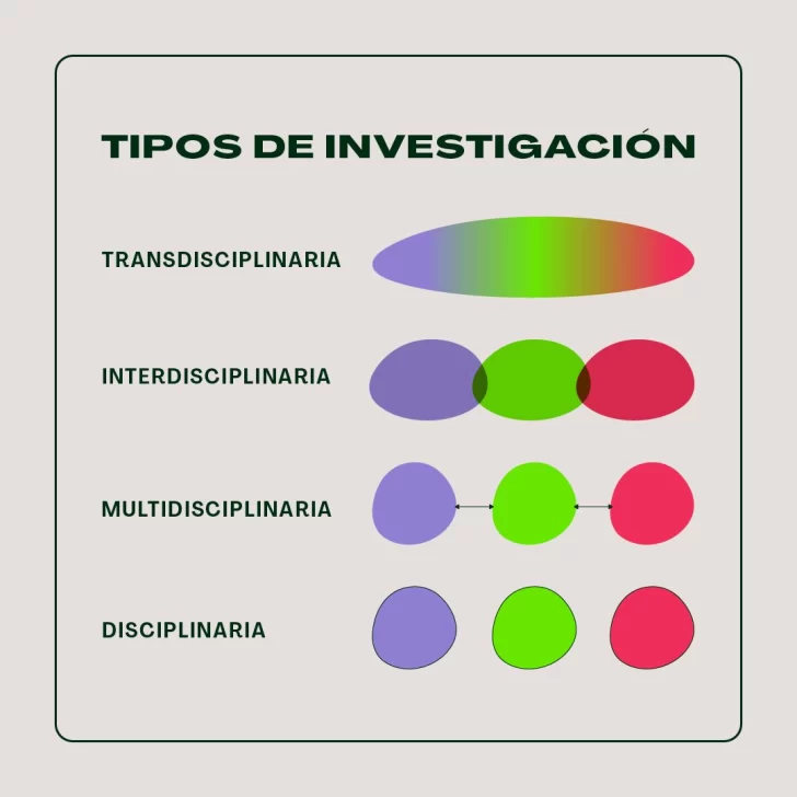 Presentan-Mueve-Flore-el-primer-estudio-de-investigacion-transdisciplinaria-de-Republica-Dominicana-1-728x728