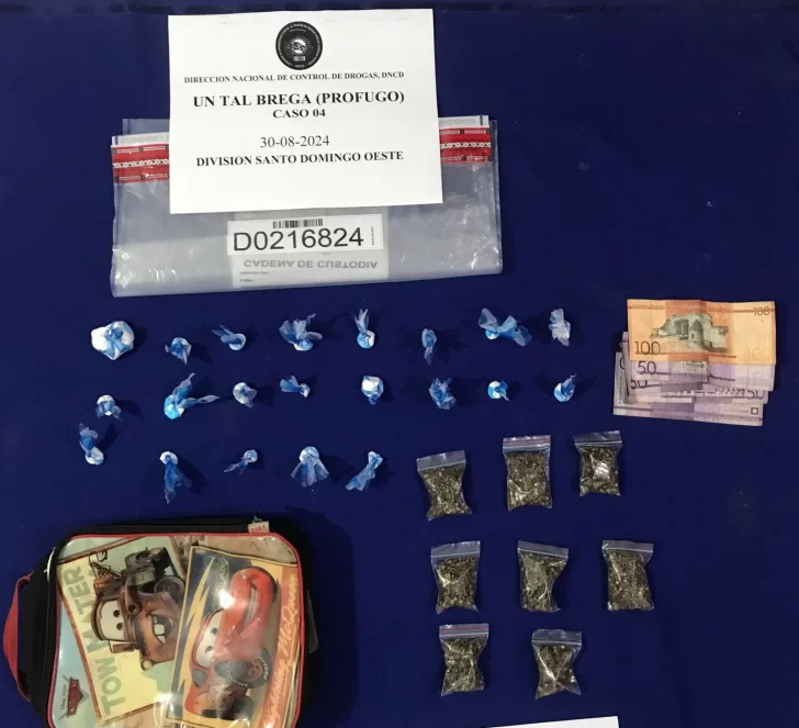 Confiscan más de 300, 000 gramos de diferentes drogas