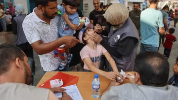 Vacunación contra la polio en Gaza: un éxito que demuestra que podemos traer más ayuda Vacunación contra la polio en Gaza: un éxito que demuestra que podemos traer más ayuda
