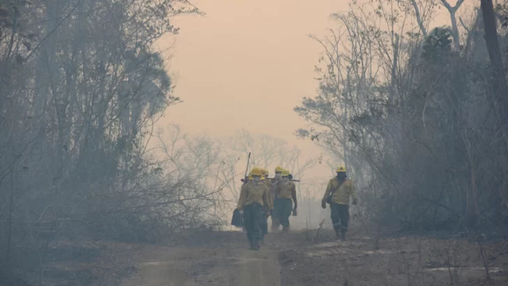 El Gobierno de Bolivia declara emergencia nacional por los incendios forestales