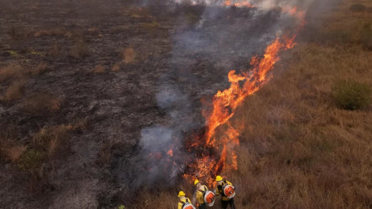 Los productores brasileños temen por los incendios y la nueva ley antideforestación de la UE