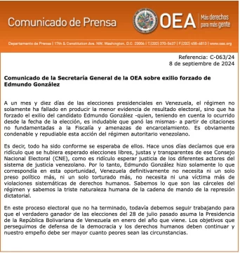 Comunicado-de-la-OEA-sobre-salida-de-Edmundo-Gonzalez-691x728