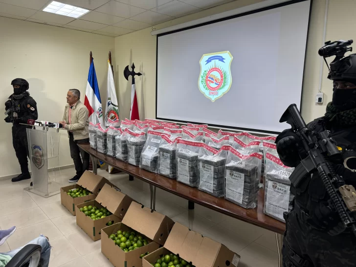 DNCD decomisa cocaína sería enviada a Róterdam en cajas de limones