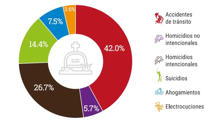Distribucion-porcentual-de-las-muertes-accidentales-y-violentas-registradas-segun-causa-2023-728x430