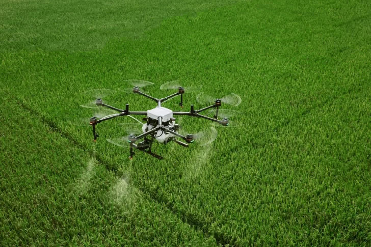 Drone-siembra-de-arroz-728x485