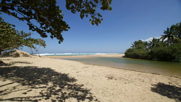 Adeti incluye como miembro al proyecto Punta Bergantín