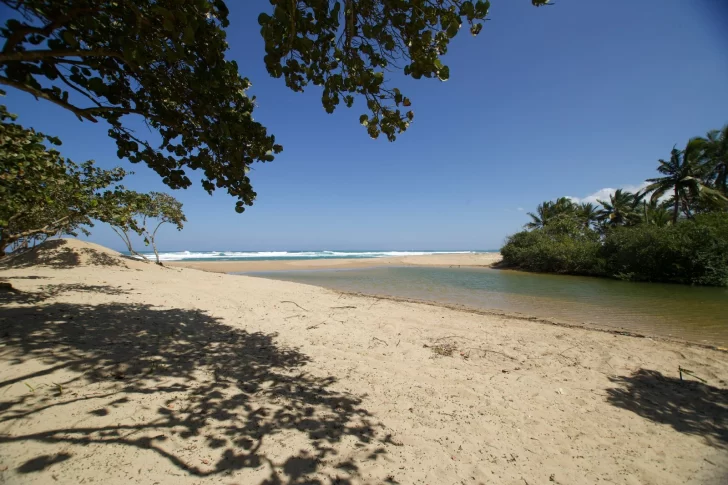 Adeti incluye como miembro al proyecto Punta Bergantín