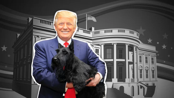 Como perros y gatos: cuando Donald Trump apela a las mascotas para atacar a Kamala Harris