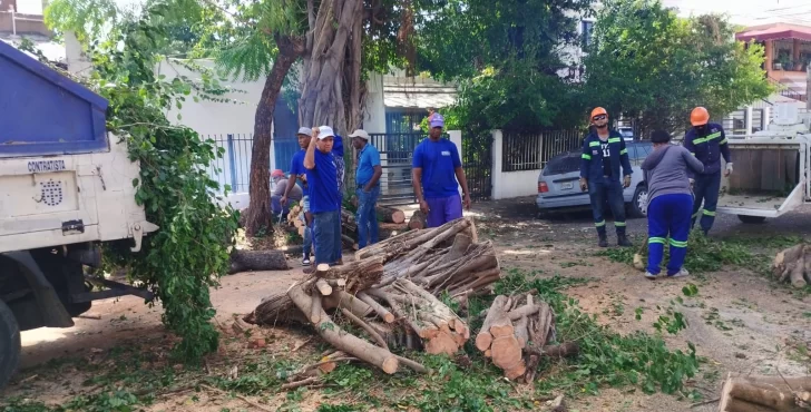 Alcaldía del DN y los bomberos retiran árboles caídos y limpian zonas afectadas por las lluvias