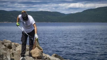 Rastreando plásticos en una de las joyas protegidas de Canadá