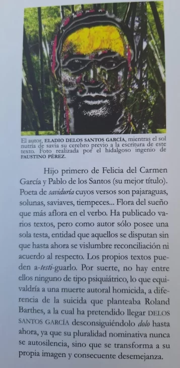 una-de-las-solapas-del-libro-trabajada-por-el-difunto-fotografo-dominicano-y-gestor-cultural-Faustino-Perez.-357x728