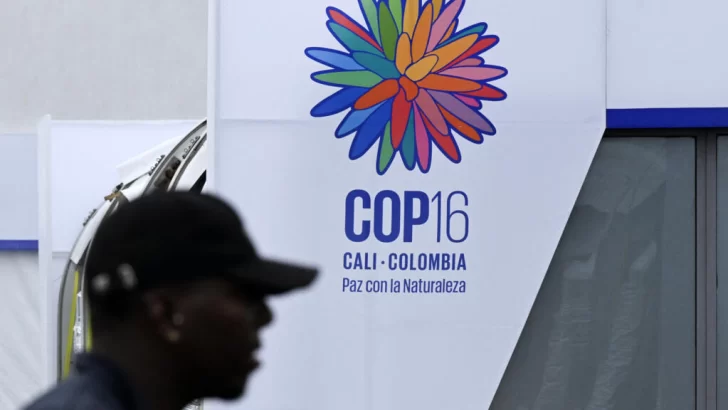 La COP16 llega a Colombia: claves de la Cumbre de la Biodiversidad