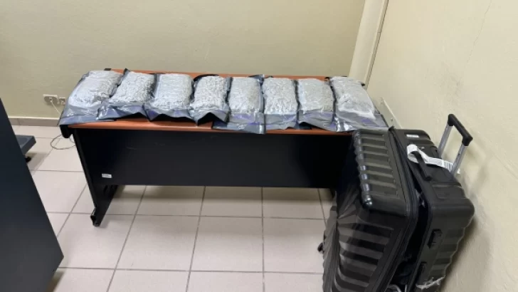 Detienen una mujer e incautan ocho paquetes de marihuana en aeropuerto Internacional del Cibao