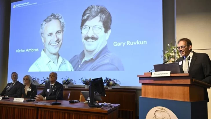 Premio Nobel de Medicina honra a Victor Ambros y Gary Ruvkun por descubrimiento de microARN