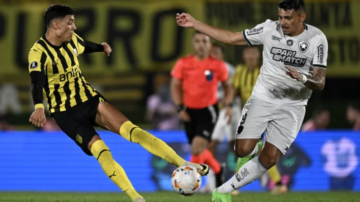 Atlético Mineiro-Botafogo, la sexta final brasileña en la historia de la Libertadores