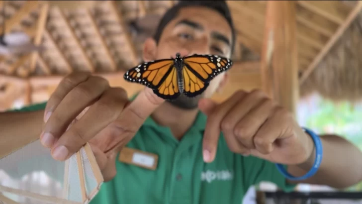 Cayo Levantado Resort: el lujo y la conservación ambiental pueden ir de la mano