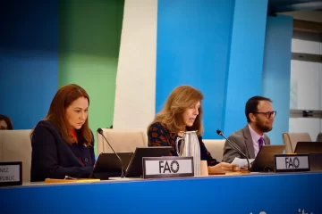 Mayra-Jimenez-participa-en-Foro-sobre-Directrices-Voluntarias-del-Comite-de-Seguridad-Alimentaria-Mundial-sobre-igualdad-y-empoderamiento-de-las-mujeres-728x485