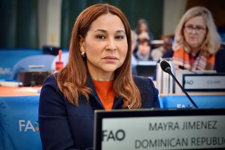 Ministra-de-la-Mujer-participa-en-Foro-sobre-Directrices-Voluntarias-del-Comite-de-Seguridad-Alimentaria-Mundial-sobre-igualdad-y-empoderamiento-de-las-mujeres-2-728x485