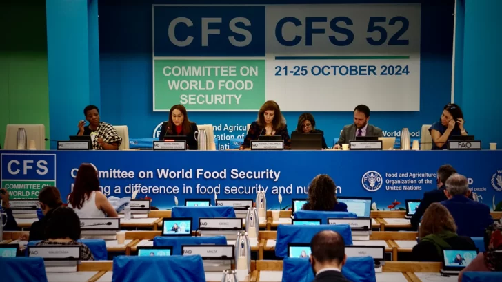 Ministra de la Mujer participa en Foro sobre Directrices Voluntarias del Comité de Seguridad Alimentaria Mundial