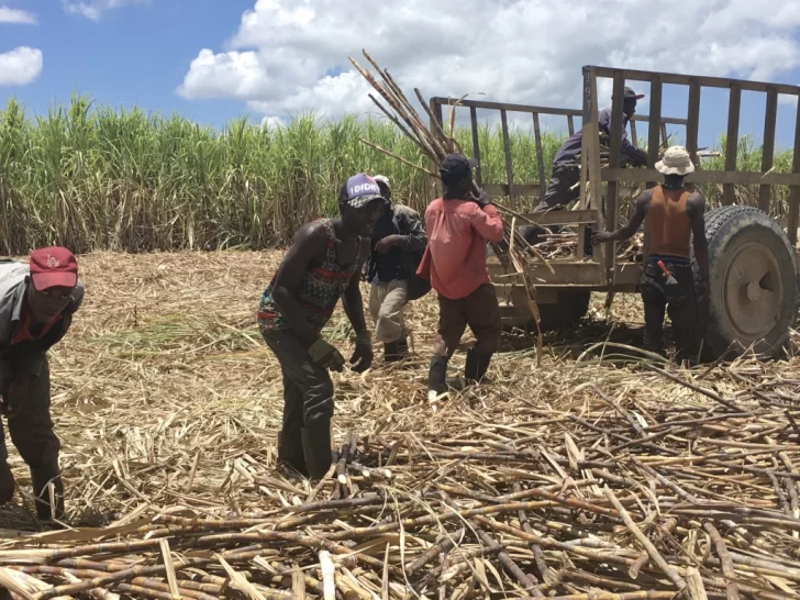 El corral del CEA para los haitianos