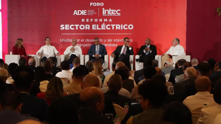 Jiménez Bichara: para salir del problema eléctrico se deben agilizar proyectos que se quedaron en carpeta 