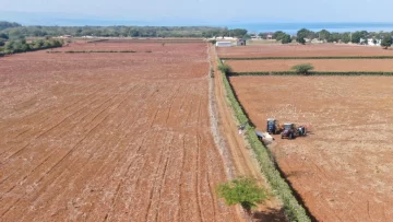 Agricultura prepara 7,900 tareas de tierras gratis a productores en Puerto Plata