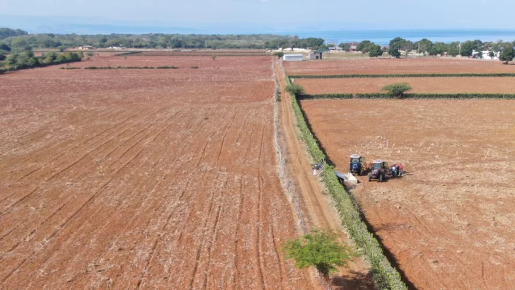 Agricultura prepara 7,900 tareas de tierras gratis a productores en Puerto Plata