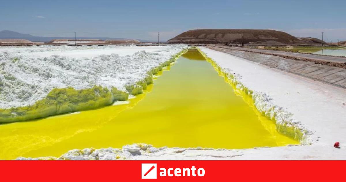 La estrepitosa caída del precio del litio y qué efectos tiene en ...