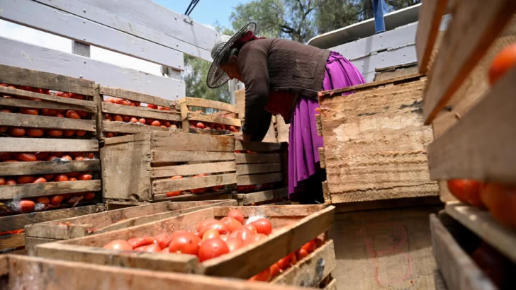 La pelea Morales-Arce impacta en la economía de los bolivianos