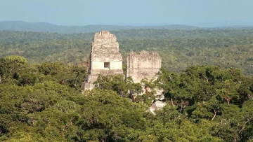 Cómo las ciudades mayas han sobrevivido durante más de un milenio en medio de la selva