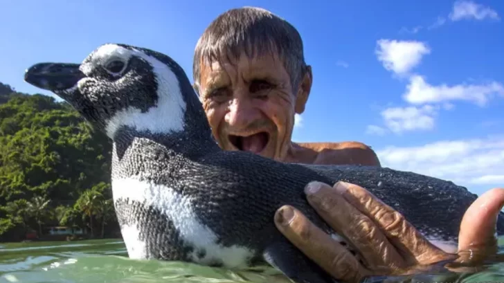 'Mi amigo el pingüino': la increíble historia de una amistad que conmovió al mundo y fue llevada al cine con el actor Jean Reno