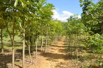 Se escribe “medioambiental”, no “medio ambiental”