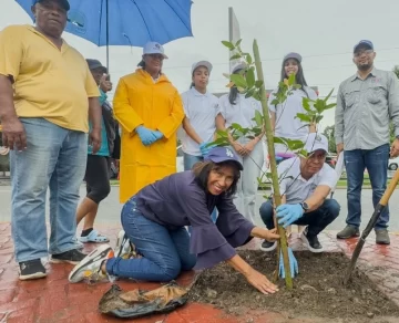 Alcaldía del DN continúa su Plan de Arbolado en Santo Domingo