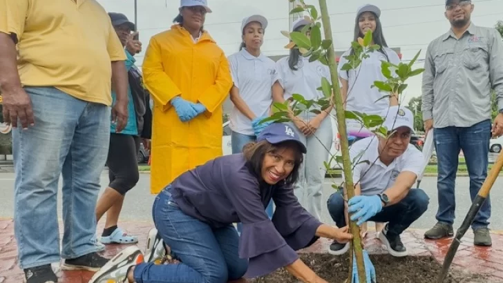 Alcaldía del DN continúa su Plan de Arbolado en Santo Domingo