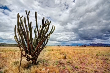 Paisaje-de-Bani