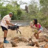 Validaciones de presupuestos superarán un 4 % el gasto tributario del cine