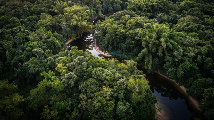 7 avances que hubo en 2024 en la protección del medio ambiente y la lucha contra el cambio climático