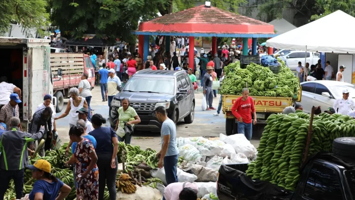 Frente Agropecuario del PRM inaugura Feria Navideña Frente Agropecuario del PRM inaugura Feria Navideña
