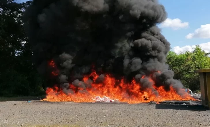 Inacif quema otros 341 kilogramos de drogas incautados en operativos