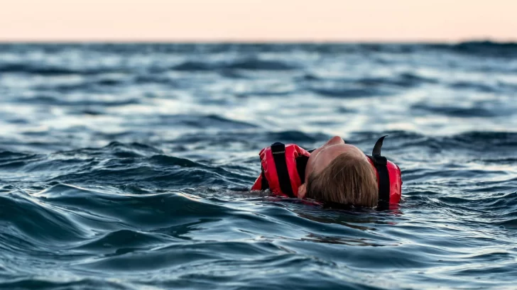 Por qué los humanos no podemos beber agua de mar a diferencia de las ballenas y los delfines