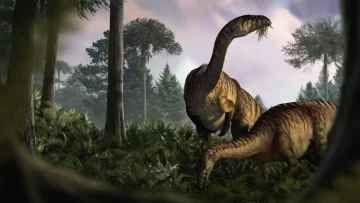 Qué revelan las heces y el vómito de los dinosaurios sobre su dominio en la Tierra y el cambio climático