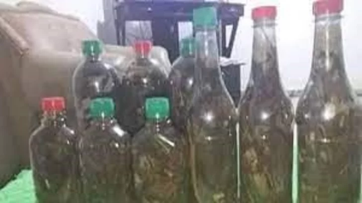 Botellas-con-los-remedios-caseros-de-la-medicina-popular-dominicana.-Fuente-externa.-728x408