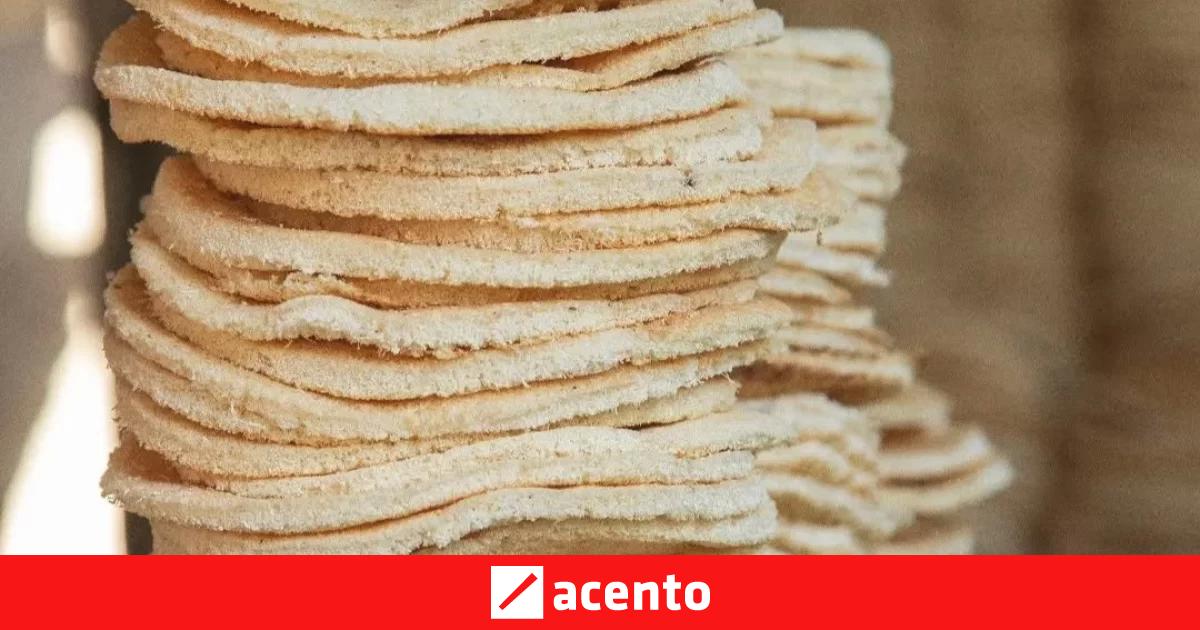 El casabe: tradición, sabor, legado culinario y patrimonio cultural ...