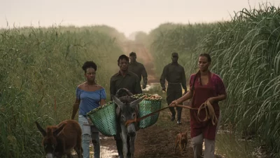 Películas dominicanas destacan en el Festival del Nuevo Cine Latinoamericano de La Habana