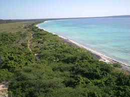 Cacheo, canelilla y orégano, estampas de Pedernales a costa de la sinrazón