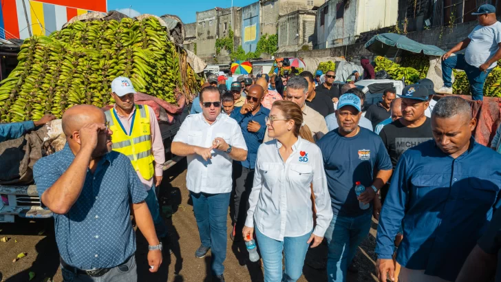 Paliza y Mejía recorren mercados de la Duarte y Villas Agrícolas y planifican readecuación