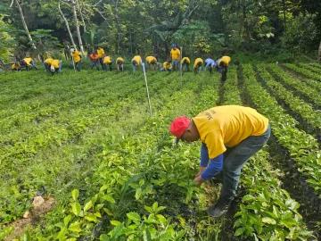 Reclusos trabajaron en reforestación como parte de su reinserción social