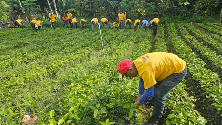 Reclusos trabajaron en reforestación como parte de su reinserción social Reclusos trabajaron en reforestación como parte de su reinserción social